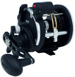 PENN RIVAL LEVEL WIND Rechtshand -Qualitätsgeschäft Für Angelausrüstung 1404003E9U7dhlj0JfYg 1280x1280