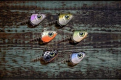 QUANTUM Pelagic Head With Screw - Jigkopf Mit Schraube 11 QUANTUM Pelagic Head With Screw - Jigkopf Mit Schraube -Qualitätsgeschäft Für Angelausrüstung 3457002 6 769059 1280x1280