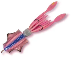 Rhino Rigsquid 13cm - Tintenfisch-Beifänger -Qualitätsgeschäft Für Angelausrüstung 3547004 104 1280x1280