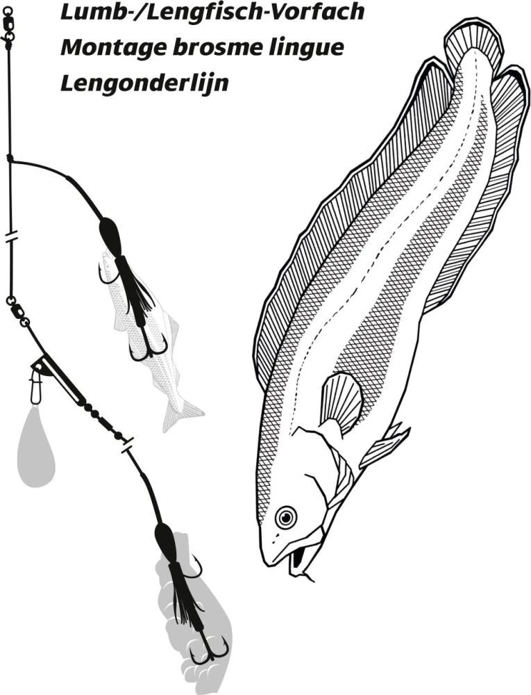 Rhino Lumb-/Leng-Vorfach Selbstleuchtend 4 Rhino Lumb-/Leng-Vorfach Selbstleuchtend – Bild 2