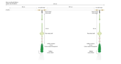 MIKADO Norway Quest 11 - Mini Squid Circle System