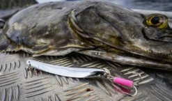 Rhino Chromat Pilker Bleifrei -Qualitätsgeschäft Für Angelausrüstung resize img 2 764358 1280x1280