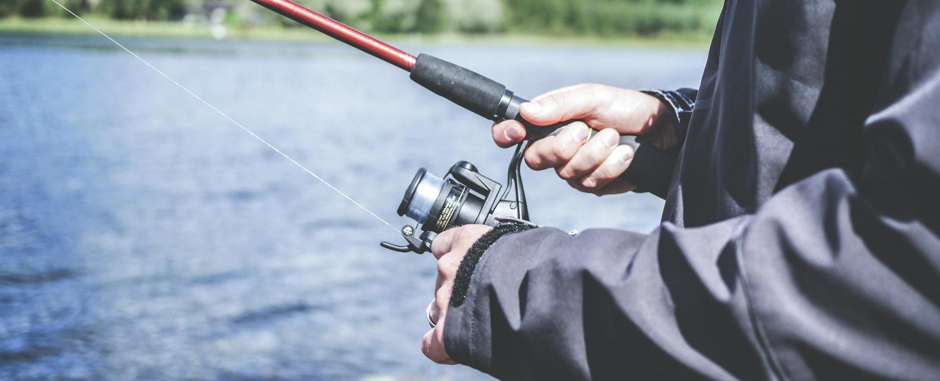 Qualitätsgeschäft Für Angelausrüstung -Qualitätsgeschäft Für Angelausrüstung pexels lum3n 44775 294674